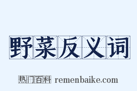 野菜反义词是什么意思的图片